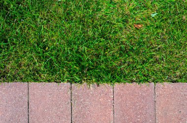 Çim ve taş döşeme doku