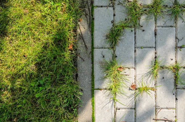 Patika ile çim kaldırım