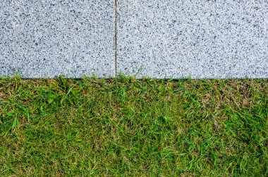 Gri Granit kaldırım ve çim çim dokusu