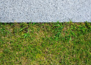 Gri Granit kaldırım ve çim çim dokusu