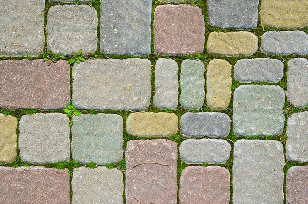 Multicolorido Sidewalk Tile Textura . — Fotografia de Stock