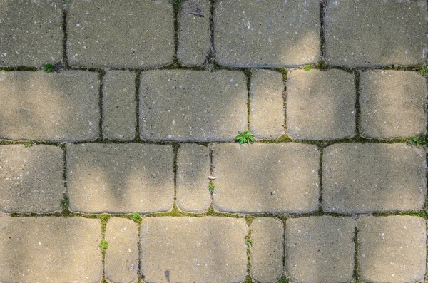 正方形の舗装石のテクスチャ. — ストック写真