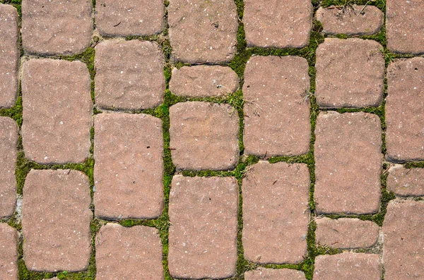 tuğla patika arka plan.