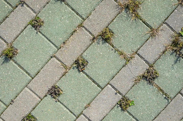 Paving Concrete Cobblestones Texture — Stock Photo, Image