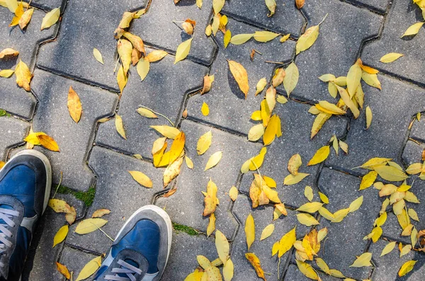 Μπλε πάνινα παπούτσια για το φθινόπωρο πεζοδρόμιο. — Φωτογραφία Αρχείου