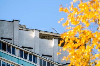 Mavi cam duvara sarı sonbahar ağaçlarının taç