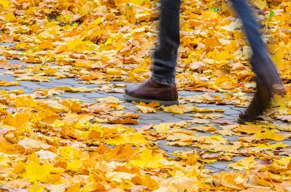 ブーツでの足は モーション ブラー エフェクトとカエデの葉が散らばっている舗装に行きます 秋の公園の概念の中を歩く — ストック写真