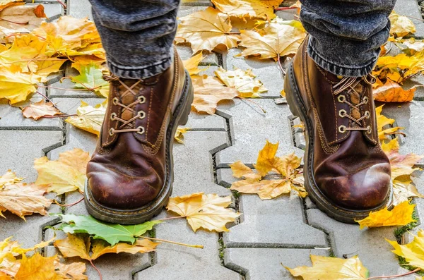 Bacaklar Arasında Düşmüş Akçaağaç Yaprakları Gri Beton Kaldırım Üzerinde Kahverengi — Stok fotoğraf