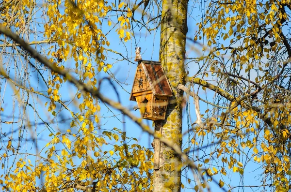 Handgefertigtes Hölzernes Vogelhaus Herbstbaum — Stockfoto