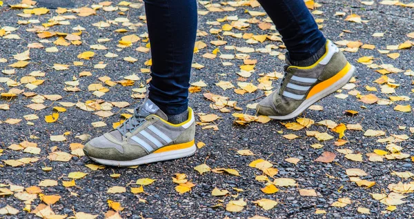 Μινσκ, Λευκορωσία - 14 Οκτωβρίου 2017: Adidas παπούτσια στα πόδια στην υγρή άσφαλτο — Φωτογραφία Αρχείου
