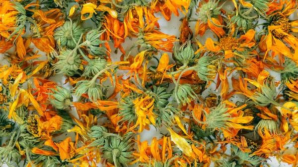 Calendula Officinalis Dried Flowers Texture Marigold Dried Herbs Background Homeopathy — Stock Photo, Image