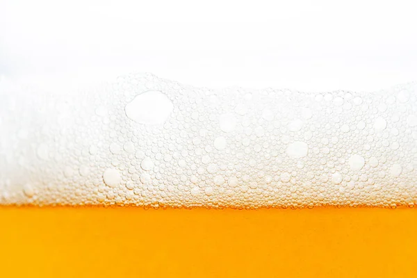 Light Beer Background on White