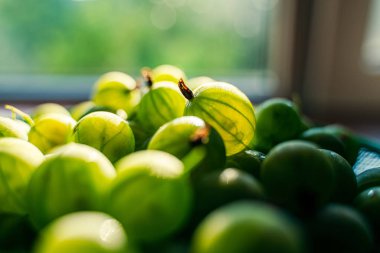 Yeşil bektaşi üzümü meyve tatlı