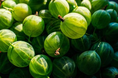 Yeşil bektaşi üzümü meyve tatlı