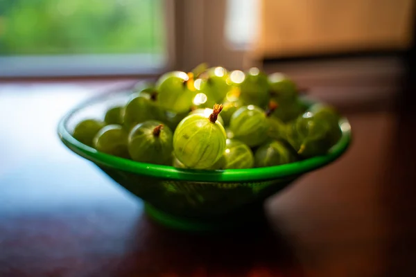 Grüne Stachelbeerfrucht in einem Sieb in den Händen — Stockfoto