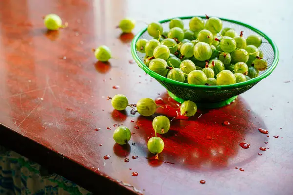 Frutto di uva spina verde in un colabrodo in mani — Foto Stock