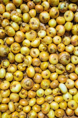 Arkaplan olarak olgun beyaz soğanlar