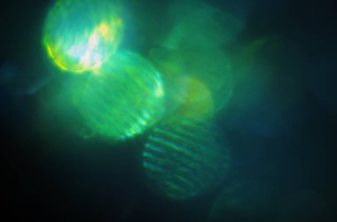 Tazelik. Işık ve gölge ile parlak bokeh yeşil arka plan defocused