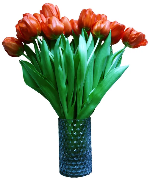 Tulips in a vase — Stock Photo, Image