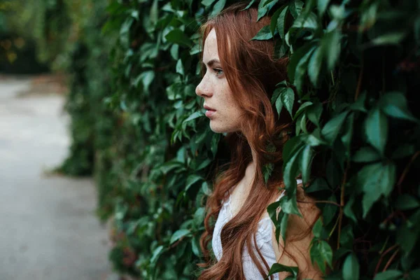 Menina bonita com cabelo vermelho em folhas verdes — Fotografia de Stock