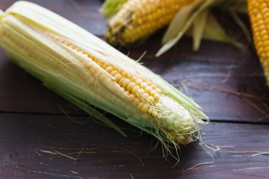 Mısır sonbahar karanlık bir tablo