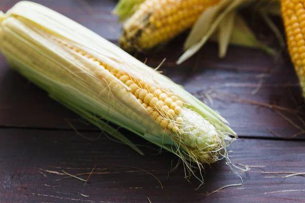 Mısır sonbahar karanlık bir tablo