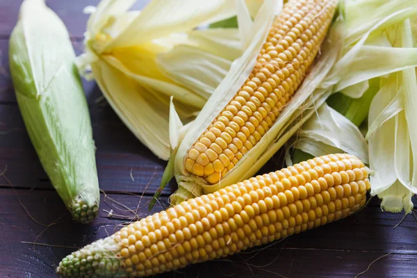 Mısır sonbahar karanlık bir tablo