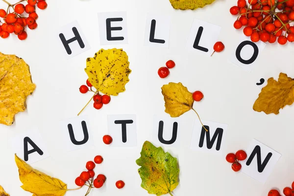 Hallo herfst gele bladeren — Stockfoto