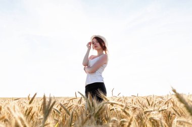 Kızıl saçlı kız yaz alanında