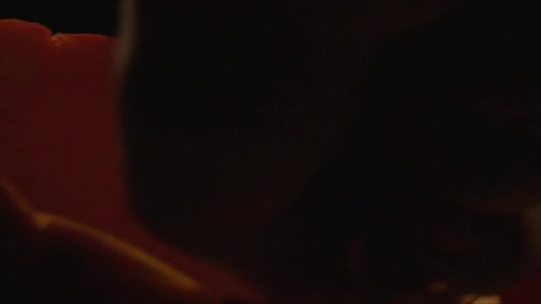用一把勺子，南瓜在背景上机架焦点特写勺南瓜肉 — 图库视频影像