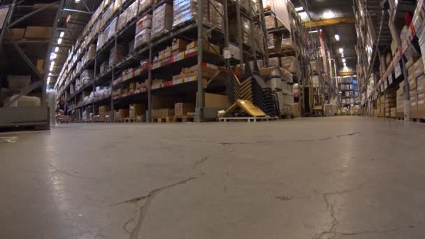 Russia, Moscow, 18.07.2016: Young girl ride shopping cart in furniture warehouse store between rows of shelves with cardboard boxes — Stockvideo