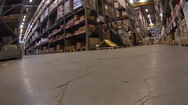 Jeune fille drôle en mini jupe promenades panier dans un magasin de meubles entrepôt entre les rangées d'étagères avec des boîtes en carton — Video