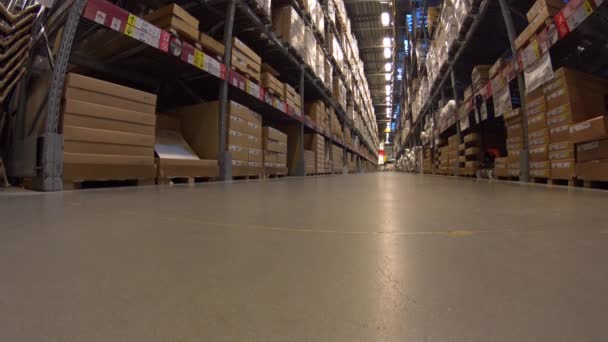 Smile Young Woman Have Fun In Furniture Store Warehouse, Rides Shopping Cart With Cardboard Boxes Forward To Camera — Stockvideo