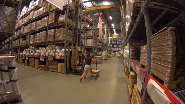 Jeune femme monte chariot dans un entrepôt de meubles et face à une étagère avec des boîtes en carton — Video
