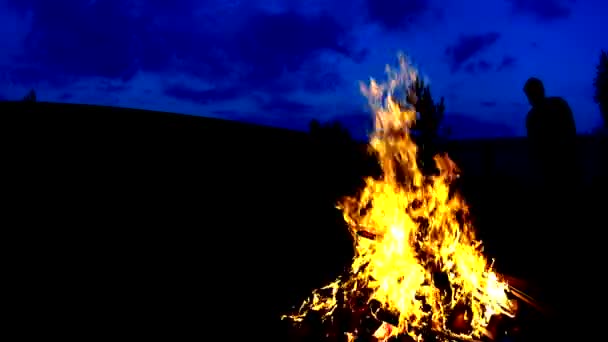 Man silhuetten lägga ved i öppen eld, gnistor flyga i mörker — Stockvideo