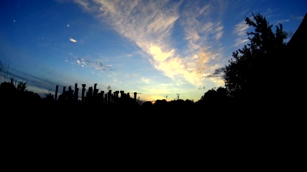 Sylwetki kolumn o zachodzie słońca — Wideo stockowe