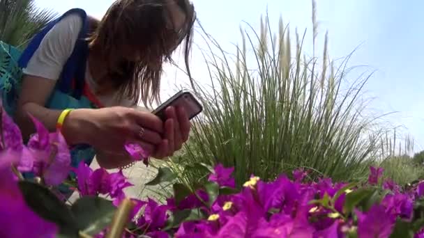 Hermosa chica turística en gafas de sol tomando fotos de flores púrpuras en su teléfono celular, Novaedat Can Picafort, Mallorca, España, foto de retrato — Vídeos de Stock