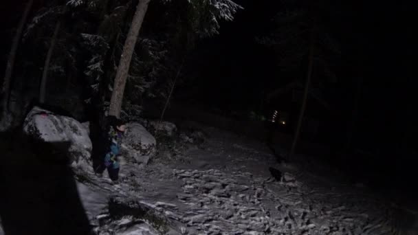 夜の森林で少女の叫び — ストック動画