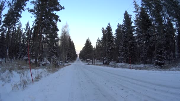 Две девочки идут по дороге в заснеженном зимнем лесу в Финляндии, длинный кадр — стоковое видео