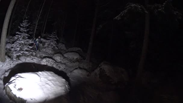 Menina jogar com neve na floresta à noite — Vídeo de Stock