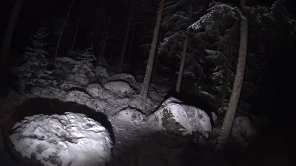 Bambino che cammina nella foresta invernale notturna con una torcia elettrica in Finlandia, sparo orribile — Video Stock