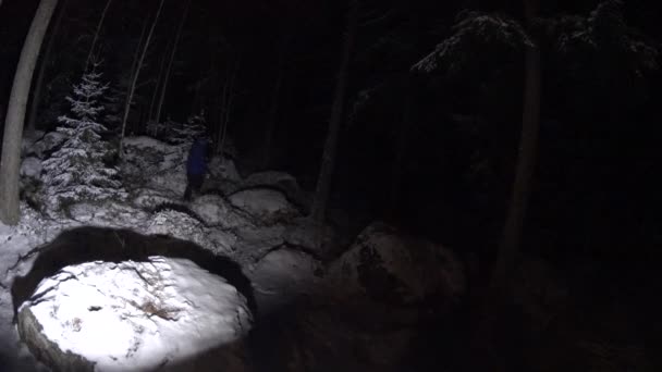 Дівчина розважається в зимовому лісі вночі, жахливий постріл — стокове відео