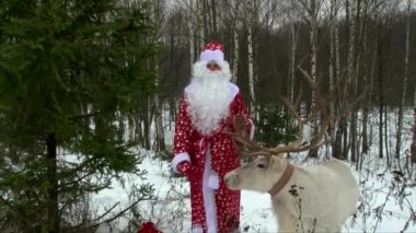 Noel Baba bir Ren geyiği ile yeni yıl kameraya konuşan aktif gesticulating arifesinde, tebrik