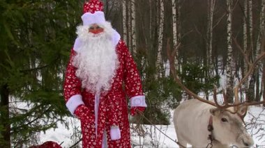 Adam kırmızı Noel Baba kostüm dizginleri edilip kamera üzerinde Ren geyiği tutun