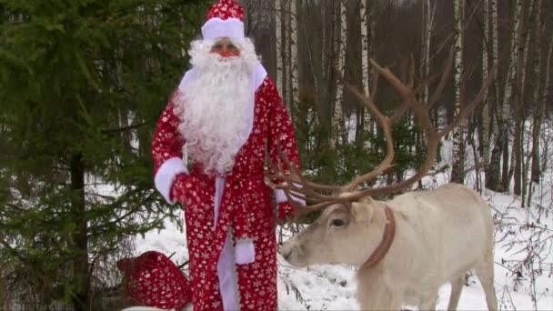Дед Мороз и серый олень с большими рогами поздравляют детей на камеру — стоковое видео