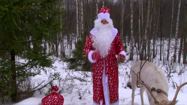 Santa Claus se soby mluvit na kameru u borovice v zimě lese