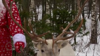 Ren geyiği geyik boynuzu atış yukarı ve aşağı, Noel Baba holding Ren geyiği dizginleri tarafından eğimli