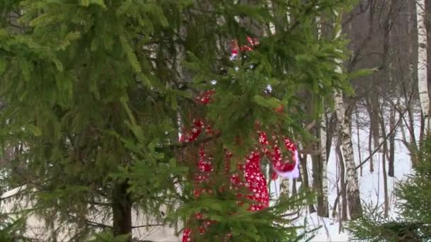 Weihnachtsmann und Rentier spazieren um einen Weihnachtsbaum — Stockvideo