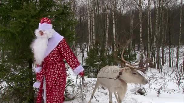 Santa Claus en rendieren weggaat — Stockvideo