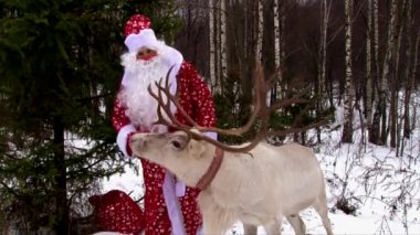 Ren geyiği ile büyük bir geyik boynuzu ve Noel Baba tebrik ediyorum insanların ormanın içinde fotoğraf makinesinde